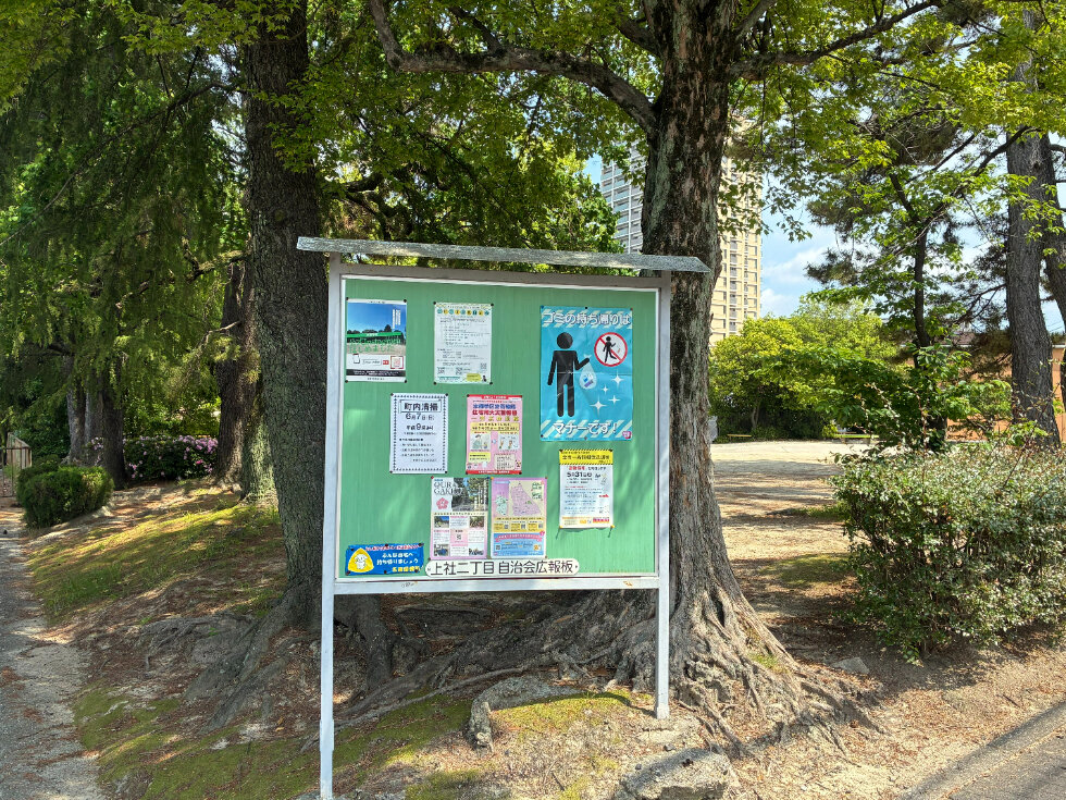 04_980x735.jpg